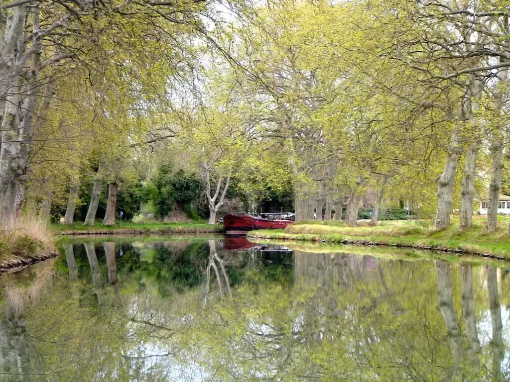 Canal flanqueado por plataneros cuyas copas se reflejan en el agua tranquila, con una barcaza roja amarrada